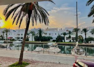a palm tree in front of a pool with buildings at Dar Aicha Marina Hammamet Sud in Hammamet