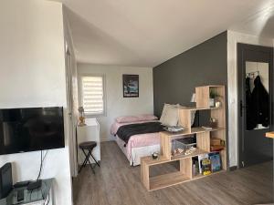 a small bedroom with a bed and a television at CARQUEIRANNE STUDIO DE CHARME PROCHE PLAGES in Carqueiranne