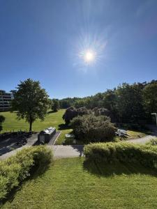 a view of a park with the sun in the sky at Etterstad in Oslo