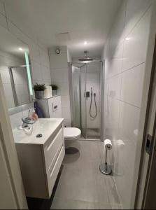 a white bathroom with a shower and a toilet at Etterstad in Oslo +6 photos
