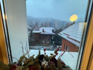 a window with a view of a house in the snow at Hotel palas tatariv in Tatariv