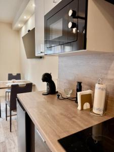 a kitchen counter with a black dog sitting on top of it at AKZ Apartman in Makó