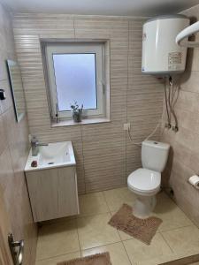 a bathroom with a toilet and a sink and a window at Гостьовий двір in Yaremche +13 photos