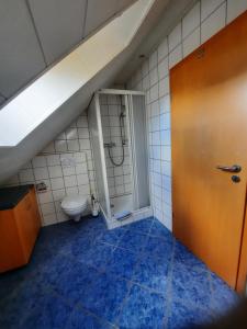 a bathroom with a shower and a toilet in a attic at Ferienwohnung Albus in Albertshausen +31 photos