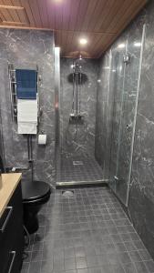 a bathroom with a shower and a toilet at Studio Siivilla in Uusikaupunki