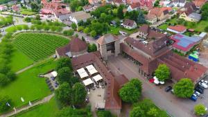 an overhead view of a large building with a vineyard at Ferienwohnung Kerst am Weintor in Schweigen-Rechtenbach
