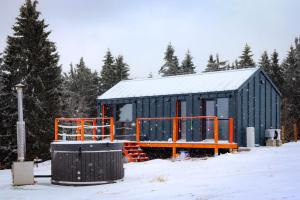 a green building in the snow with trees at Domek Jak z Obrazka in Sierpnica