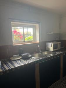 a kitchen with a sink and a microwave on a counter at Studio D in Willemstad