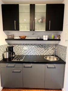 a kitchen with a sink and a counter top at FeWo Seliger am Schloßplatz in Meersburg +7 photos