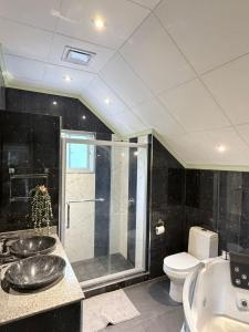a bathroom with a sink and a shower and a toilet at Wyn Villa in Praslin +11 photos