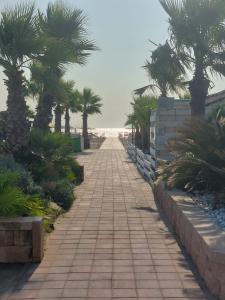a sidewalk with palm trees on the beach at Residence Sole&Mare in Rosapineta