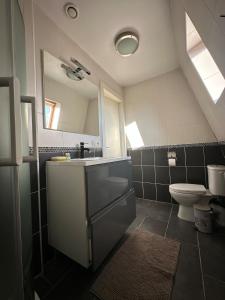 a bathroom with a sink and a toilet and a mirror at The2 Work or holiday apartment in Godshuis