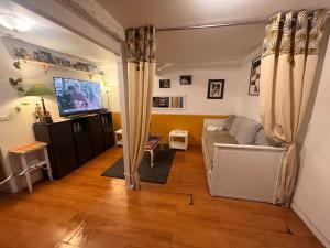 a living room with a couch and a tv at l'atelier in Colomiers