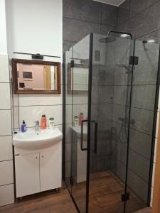 a bathroom with a shower and a sink at Jūras ielas apartamenti in Limbaži