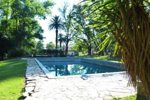 a swimming pool in a yard with a palm tree at Casa del monte in Carmen de Areco +40 photos