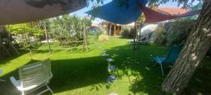 a yard with a white bench and a tree at Gîte privatif avec spa, sauna à Colmar in Logelbach