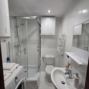 a bathroom with a shower and a toilet and a sink at Apartamenty Green Garden z ogrodem i przyjazne dla zwierząt, Racibórz in Racibórz +5 photos