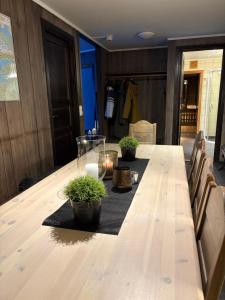 a long wooden table with potted plants on it at Cozy Couples or Family Retreat - Hemsedal in Hemsedal