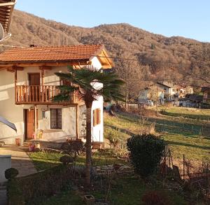 a small house with a palm tree in front of it at La Casetta in Breia