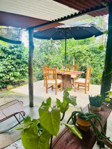a patio with a table and chairs and an umbrella at Cabane Finca la Gloria in San Vicente de Chucurí