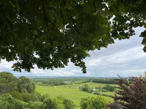 a view of a green field from under trees at Le gîte de Agnes in Fronsac