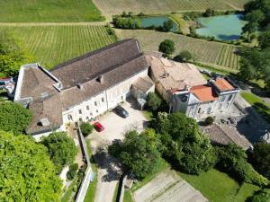an aerial view of a large building with a lake at Le gîte de Agnes in Fronsac