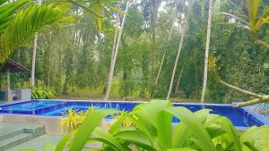 a swimming pool in the middle of a garden with trees at WG Villa Wathurugama in Kannimahara +26 photos