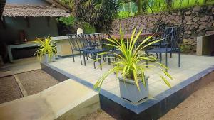 a group of chairs and plants on a patio at WG Villa Wathurugama in Kannimahara