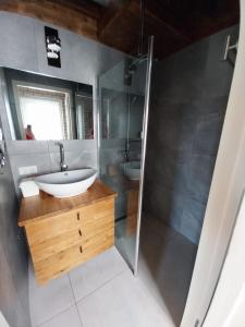 a bathroom with a sink and a shower at Gastenverblijf De Lopende Eend in Boxtel