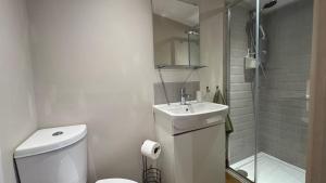 a bathroom with a toilet and a sink and a shower at The Hive in Bream +19 photos