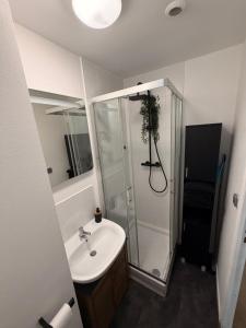 a bathroom with a shower and a white sink at LB studio in Dunkerque