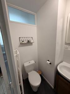 a small bathroom with a toilet and a sink at LB studio in Dunkerque