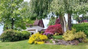 a house with a garden of flowers and trees at Apartmán U Lípy Janovičky in Heřmánkovice