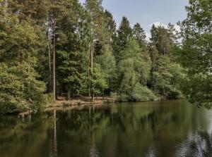 a view of a river with trees in the background at The Hive in Bream