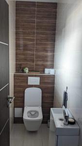 a bathroom with a toilet and a sink at Harmony Apartman in Otilia