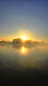 Ein nebliger Sonnenaufgang über einem See mit der Sonne im Hintergrund in der Unterkunft Pension Bertuch in Peitz