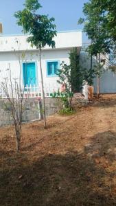 a white house with blue windows and trees in front of it at ViRa Farm in Sūlagiri +5 photos