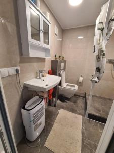 a bathroom with a sink and a toilet at Villa basement Apartment in Ennigerloh +28 photos