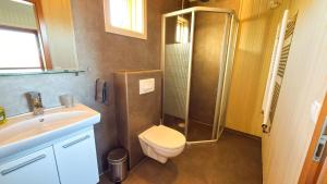 a bathroom with a shower and a toilet and a sink at Fossatún Sunset Cottage in Fossatún