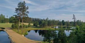 a lake with trees and a dirt road next to it at AVOTUPJi in Plānupe