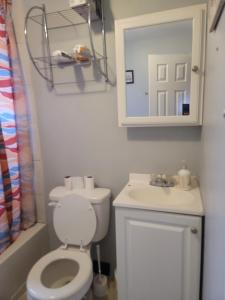 a bathroom with a toilet and a sink and a mirror at Grove 125 in Irvington