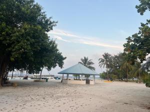 a gazebo on a beach with palm trees at Asaa View Maldives in Feridhoo +113 photos