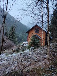 a small building in the middle of a snow covered forest at Шале над скелею in Krivorovnya +40 photos