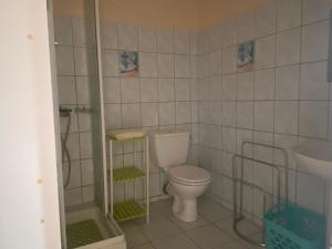 a small bathroom with a toilet and a sink at Roger et Micheline a Kaz in Le Carbet +11 photos