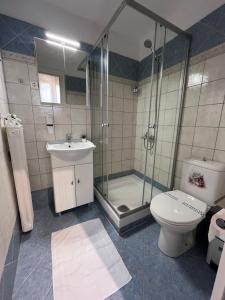 a bathroom with a shower and a toilet and a sink at B&M Cozy Corner in Igoumenitsa +18 photos
