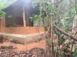 a house in the middle of the forest at Kamatha Eco Lodge in Habarana +86 photos