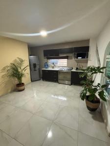 a large kitchen with appliances and potted plants at Depa Balbuena in Guadalajara