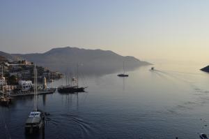Φυσικό τοπίο κοντά σε αυτό το διαμέρισμα
