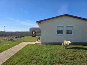 a house with a grass yard next to a building at Kékszilva Vendégház in Pap
