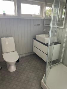 a bathroom with a toilet and a sink at Peaceful seaside cabin with guest house - large private outdoor areas and boat available on request in Eigebrekk